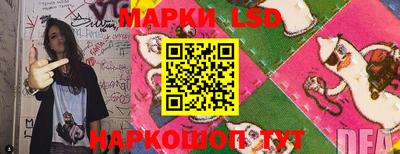 ГАЛЛЮЦИНОГЕННЫЕ ГРИБЫ Котовск