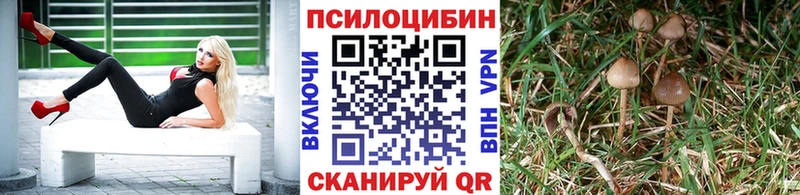 shop состав Валуйки Псилоцибиновые грибы Magic Shrooms